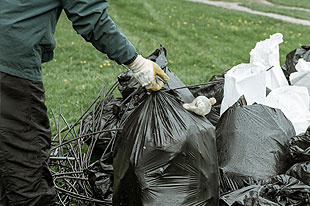 Garden Waste Removal Waste Removal Newton Mearns